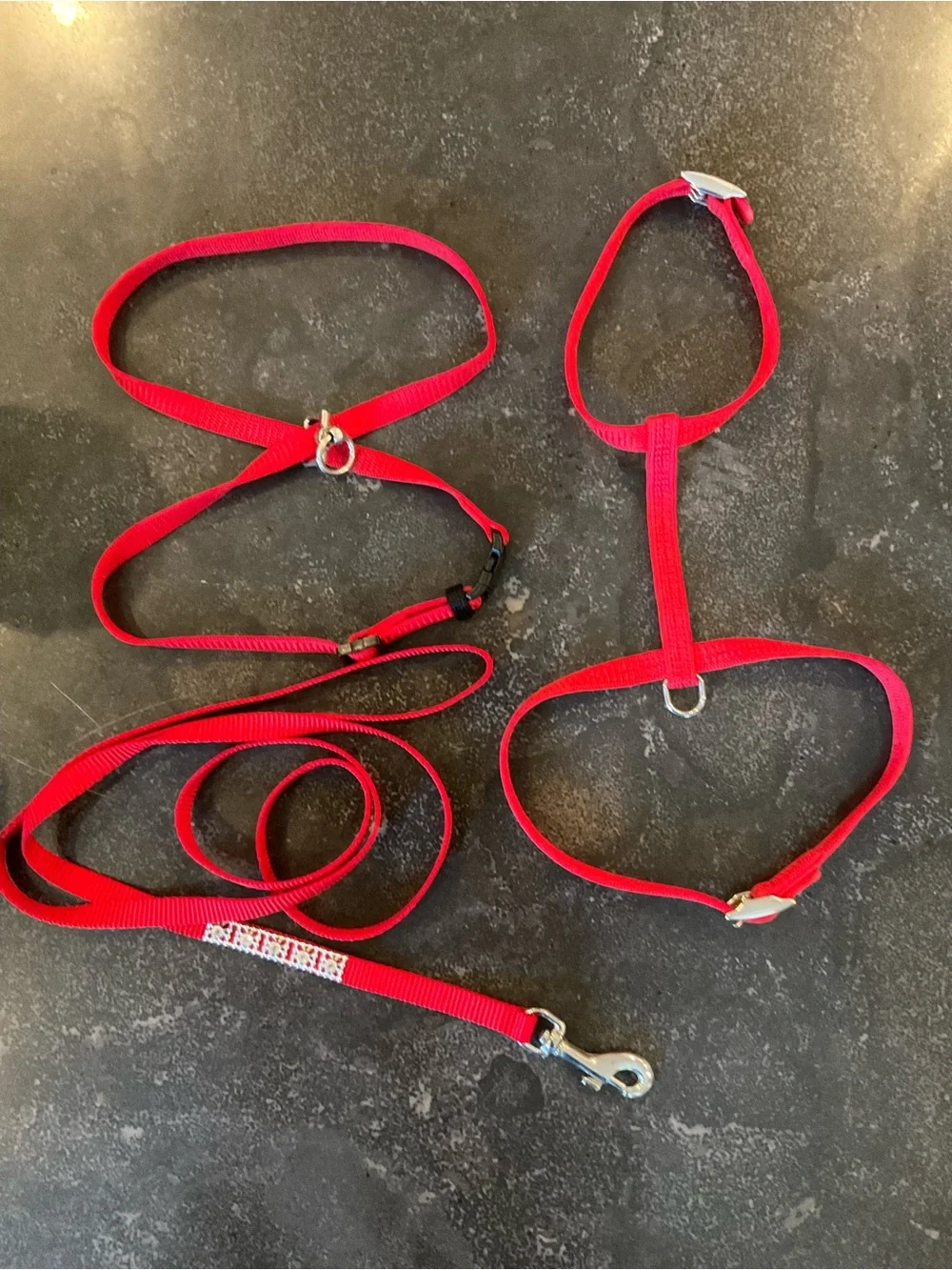 Bright Red Nylon Cat Harness and Leash Set